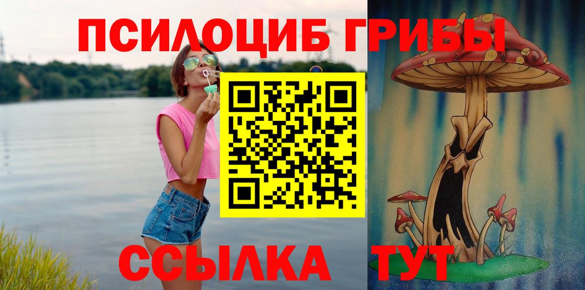 Псилоцибиновые грибы ЛСД  купить наркотики цена  Кизилюрт  Вход с VPN 